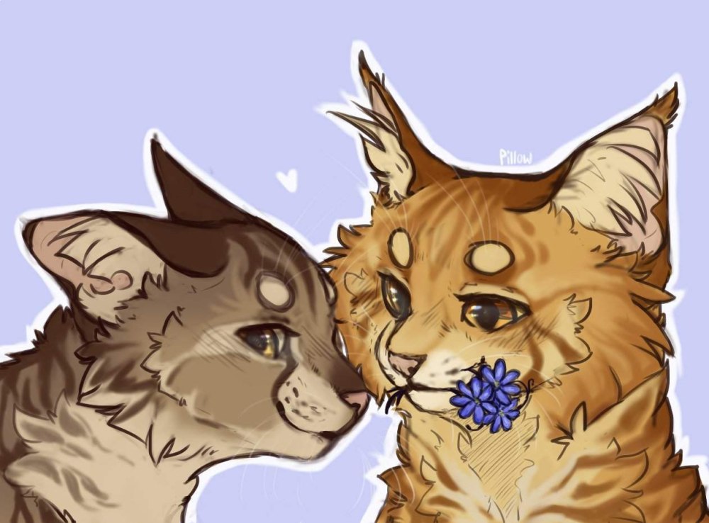 Sparkpelt коты Воители