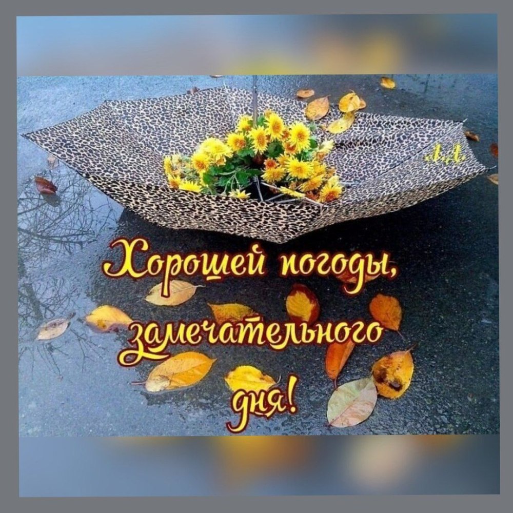 Блондинка с осенними листьями