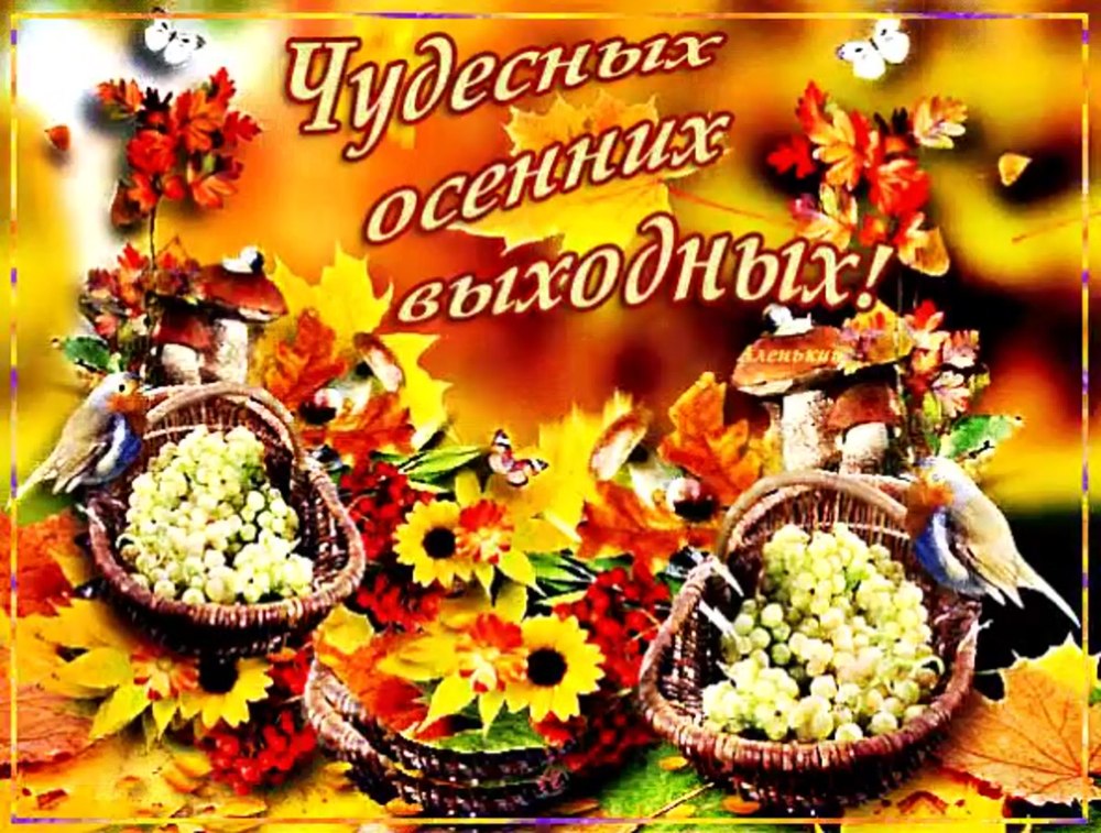 Отличной осенней субботы