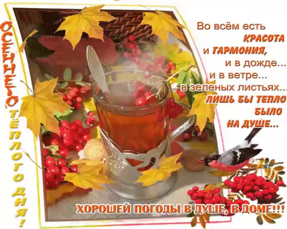 Осеннее утро понедельника
