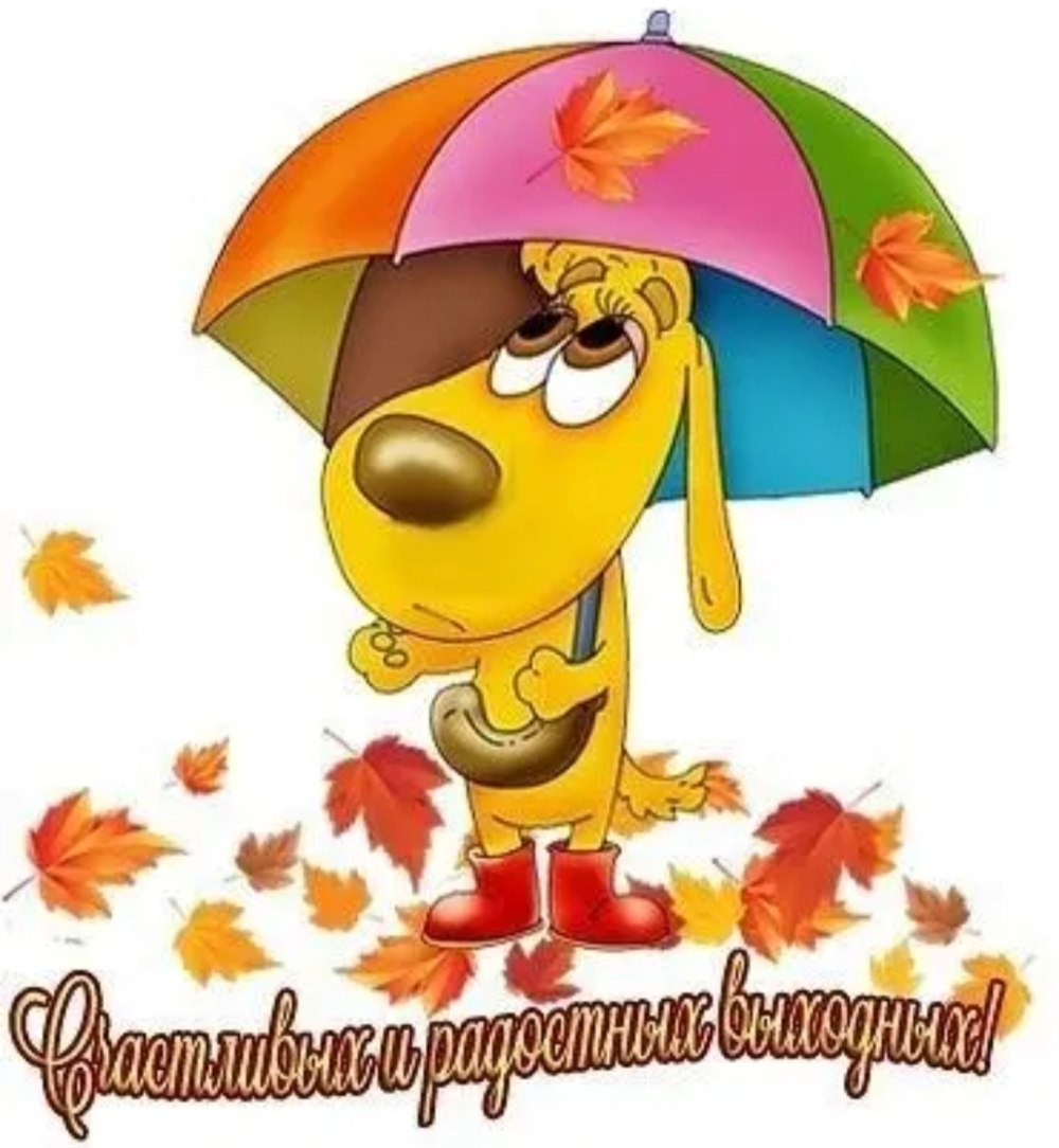 Отличных осенних выходных