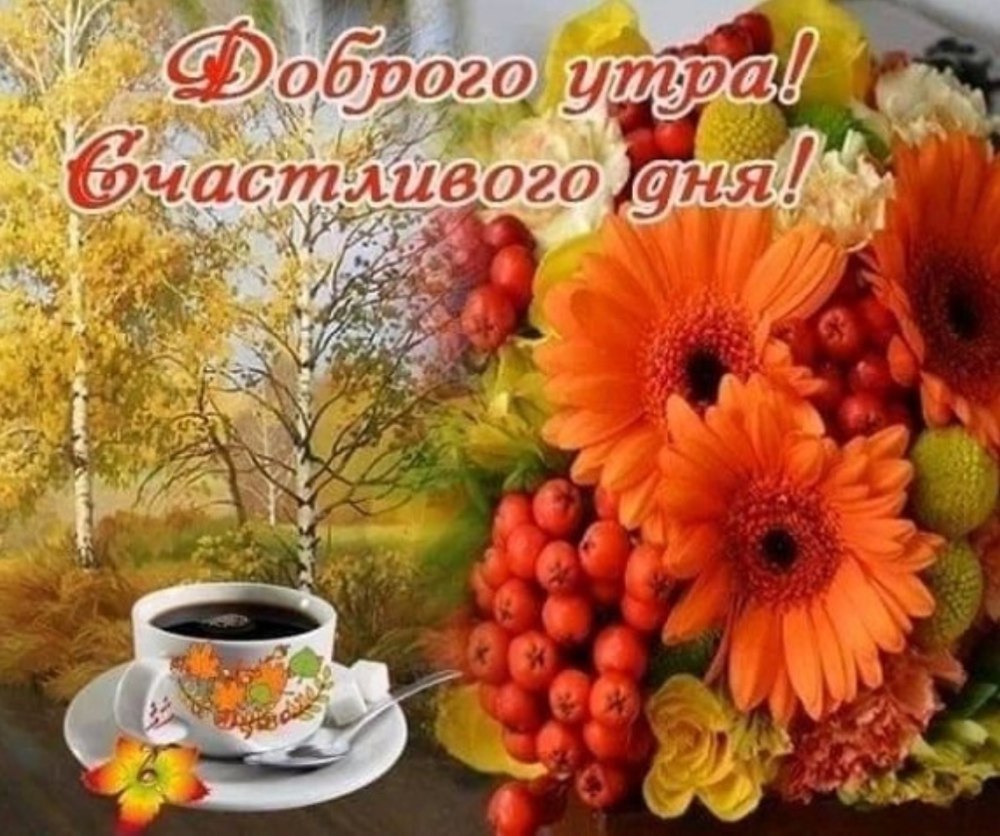 Хорошей субботы