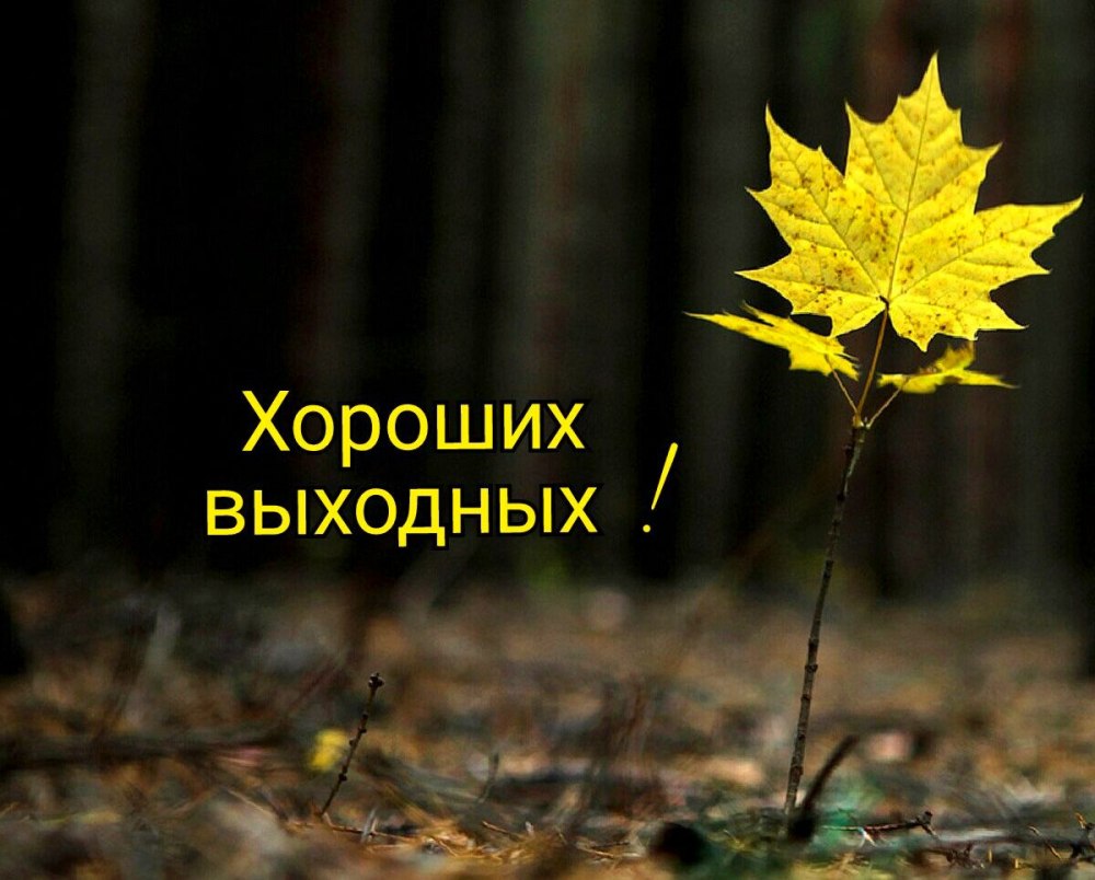 Поздравительные открытки с субботой