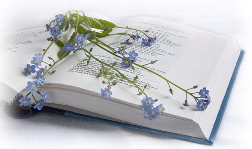Стихи книга