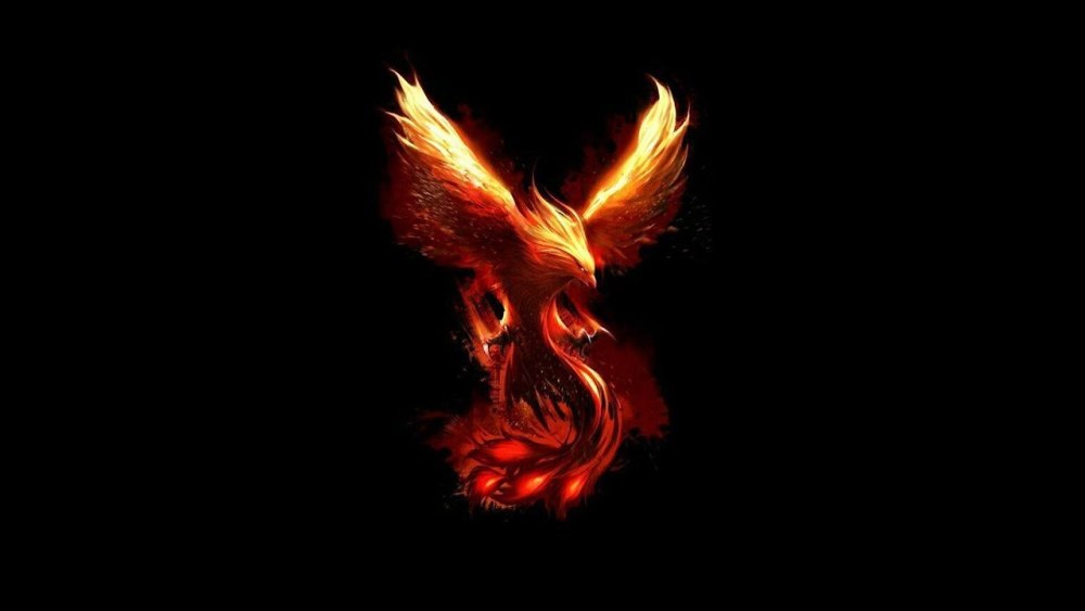 Fenix 184 184