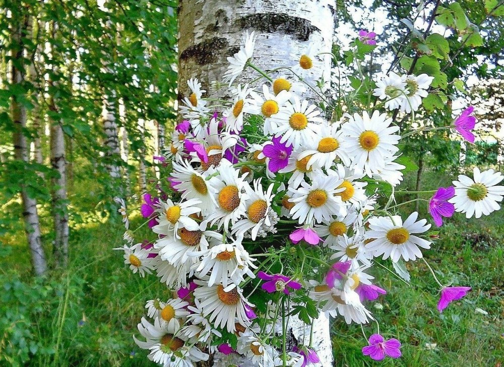 Поле с полевыми цветами