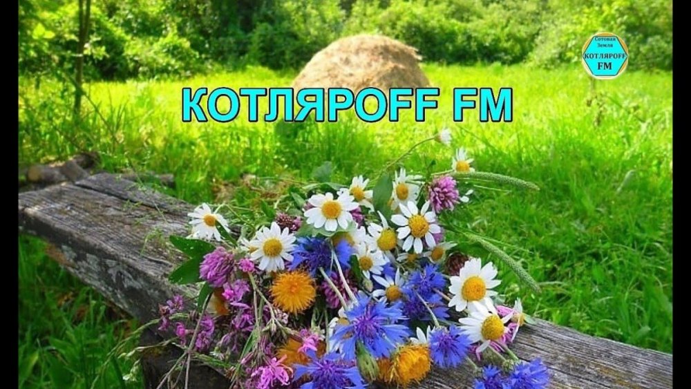 Утро лето