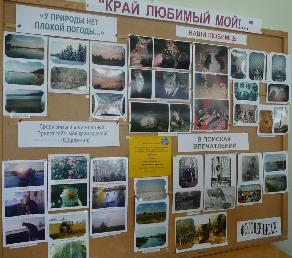 Новые книги в краеведческом
