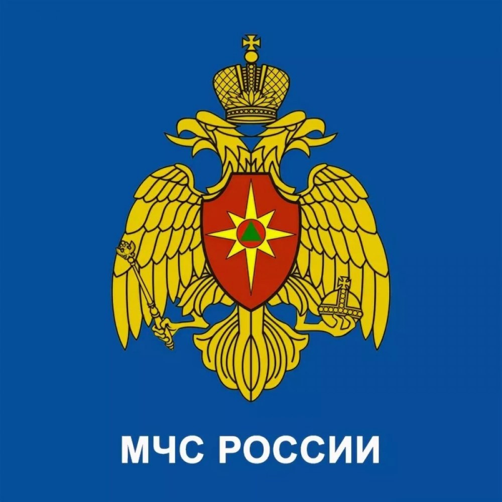 Эмблема МЧС
