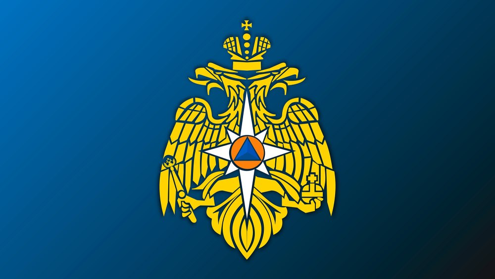 Эмерком МЧС России логотип