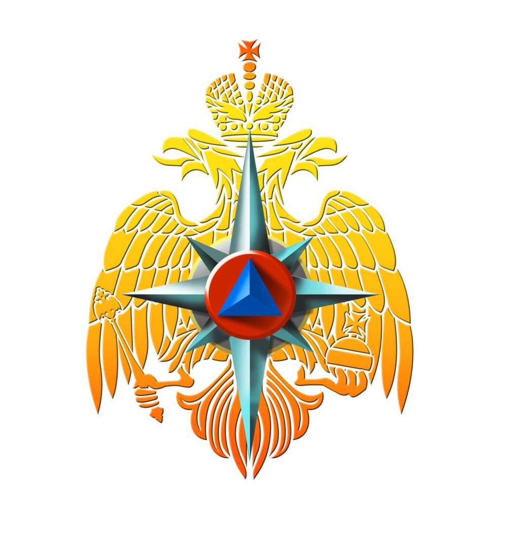 МЧС России Эмерком эмблема