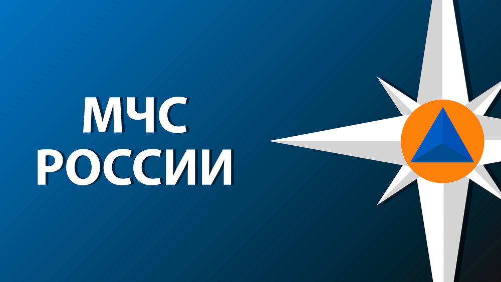 Большая эмблема МЧС России