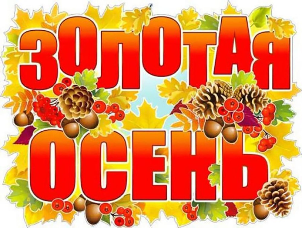Выставка новых книг в библиотеке