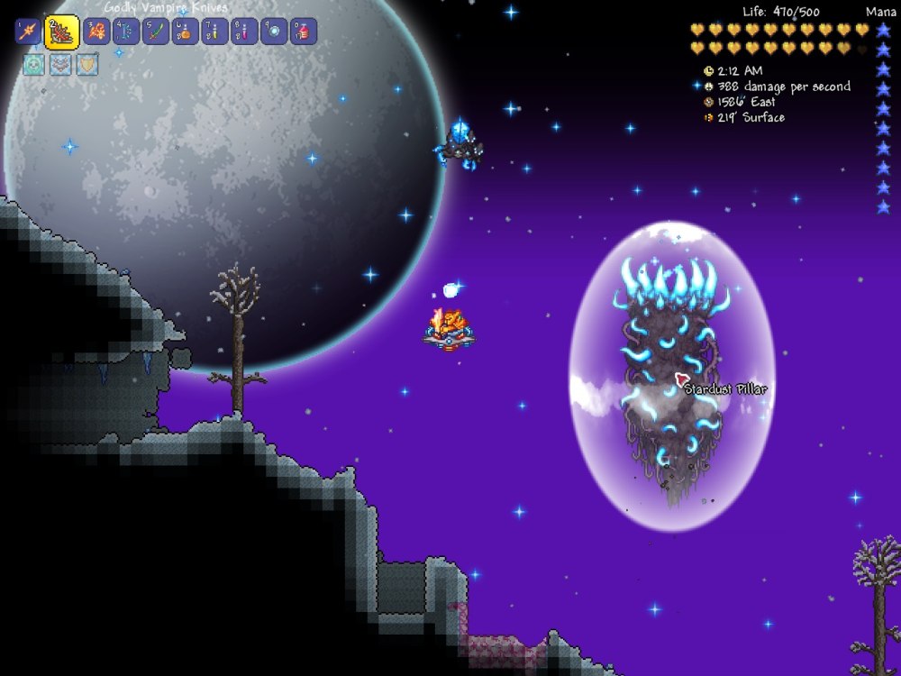 Terraria пруд