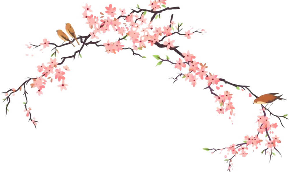 Ветка Сакуры рисунок