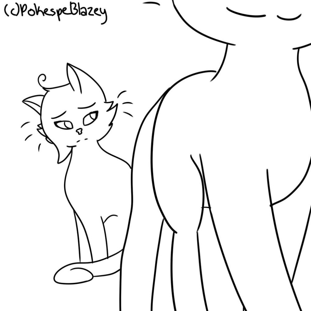 Коты Воители лайны