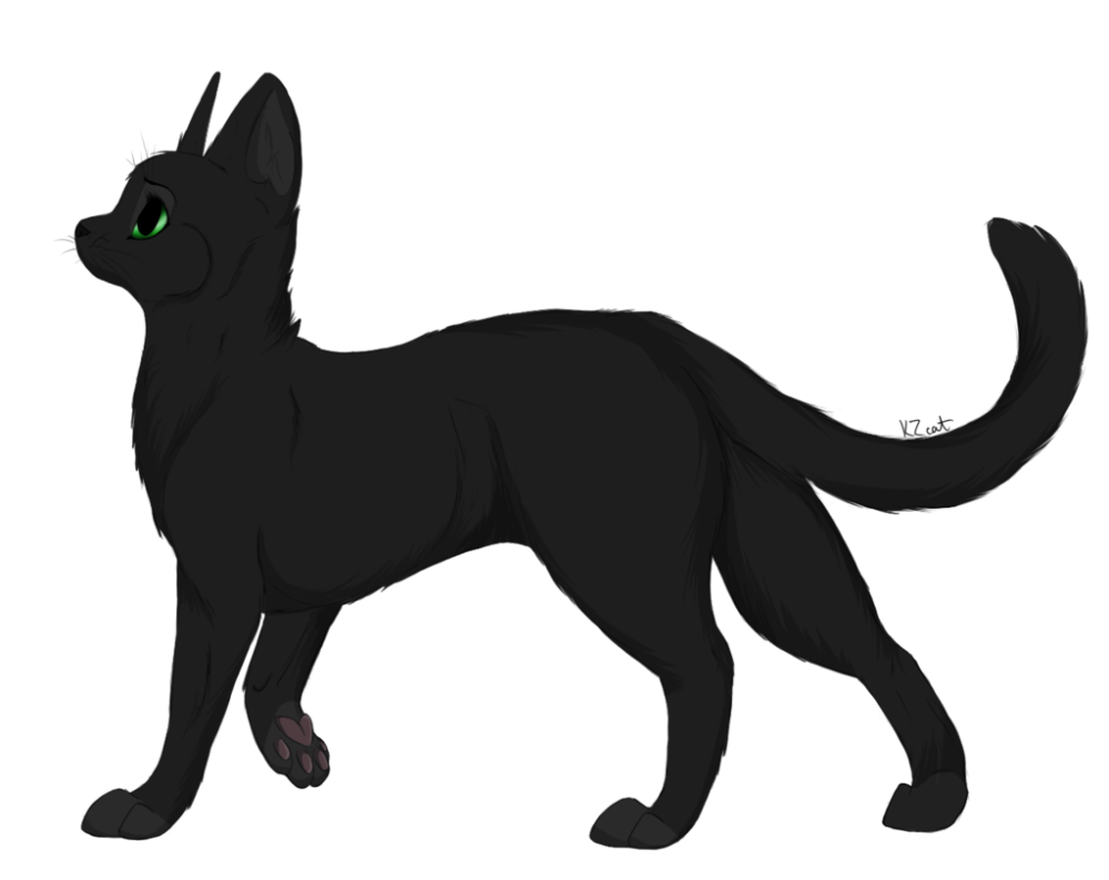 Коты Воители чёрный кот