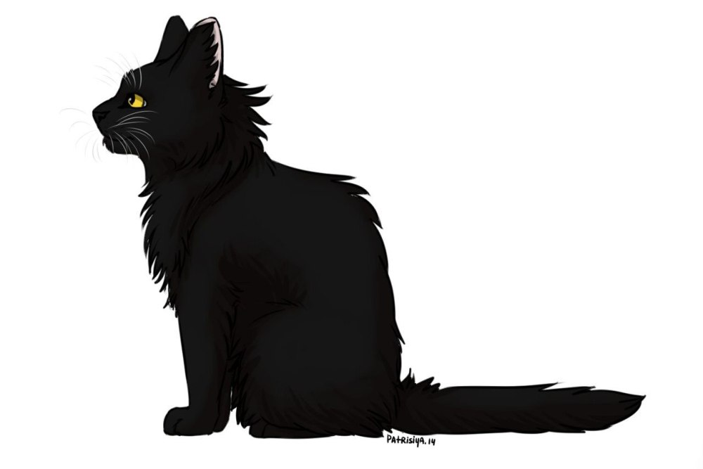 Коты Воители чёрный коготь