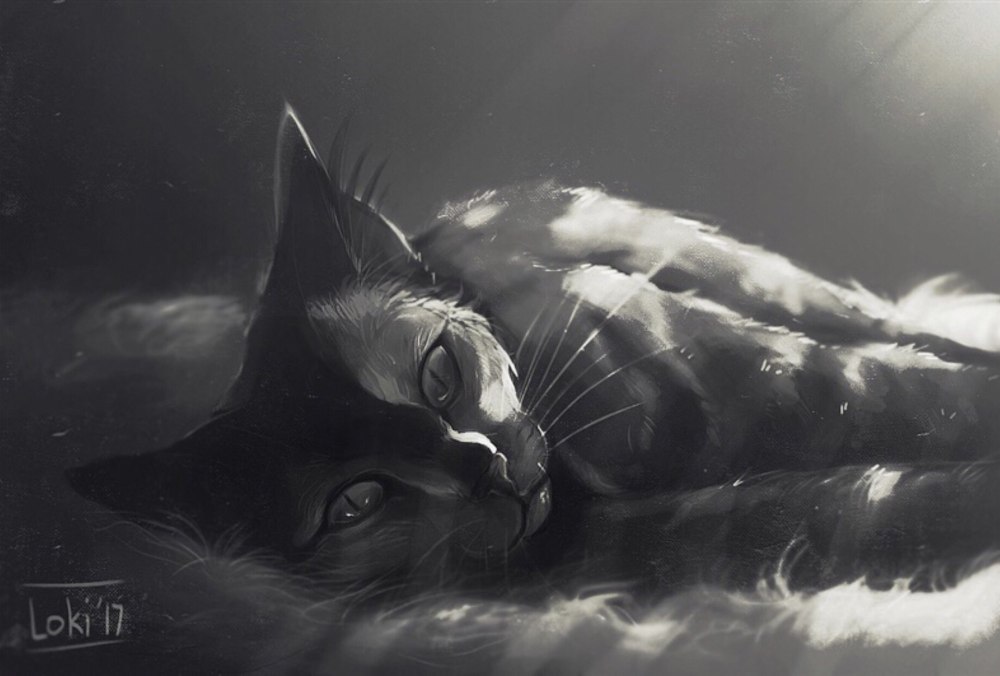 Коты Воители Звёздный Луч