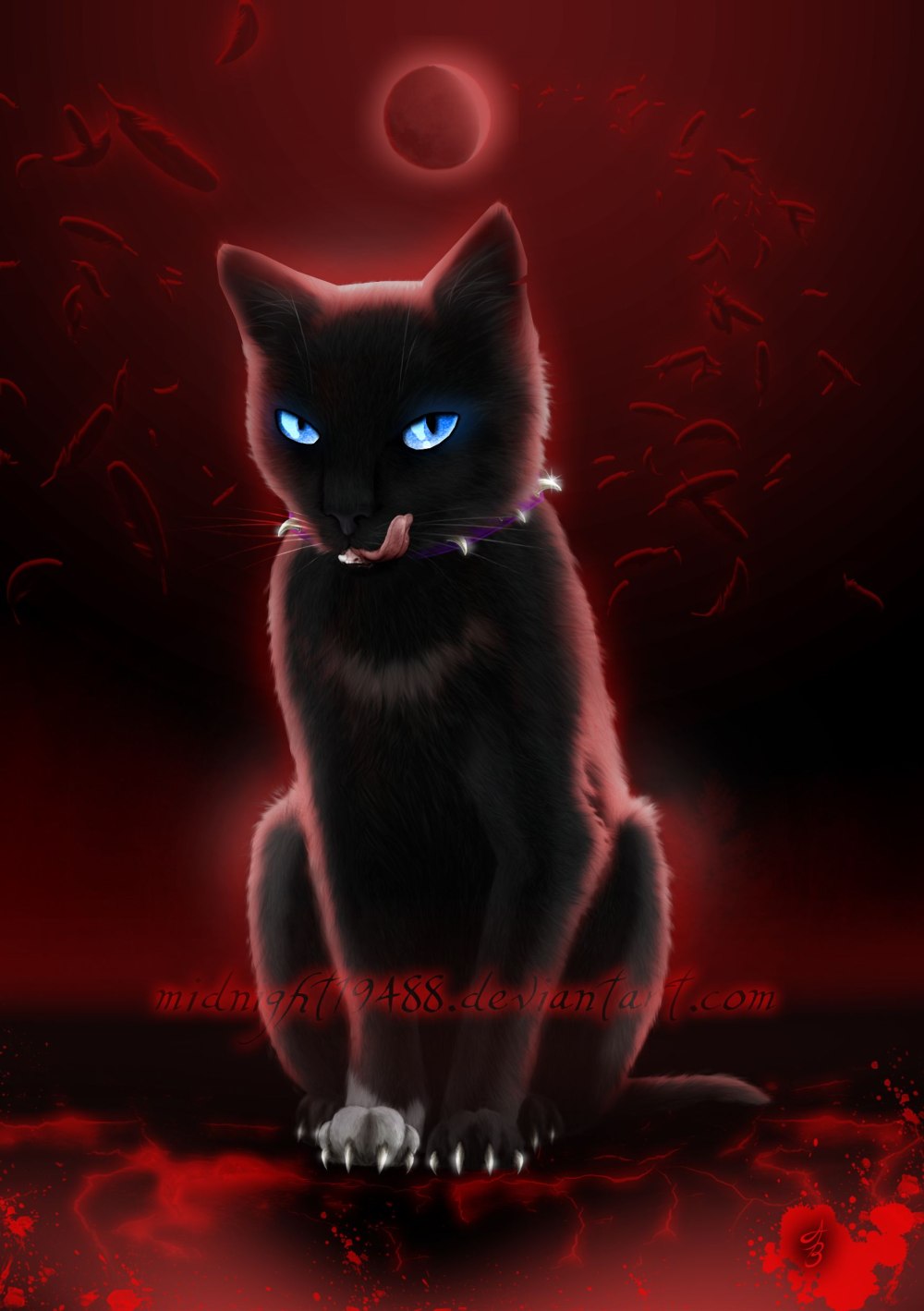 Чёрно белые коты Воители