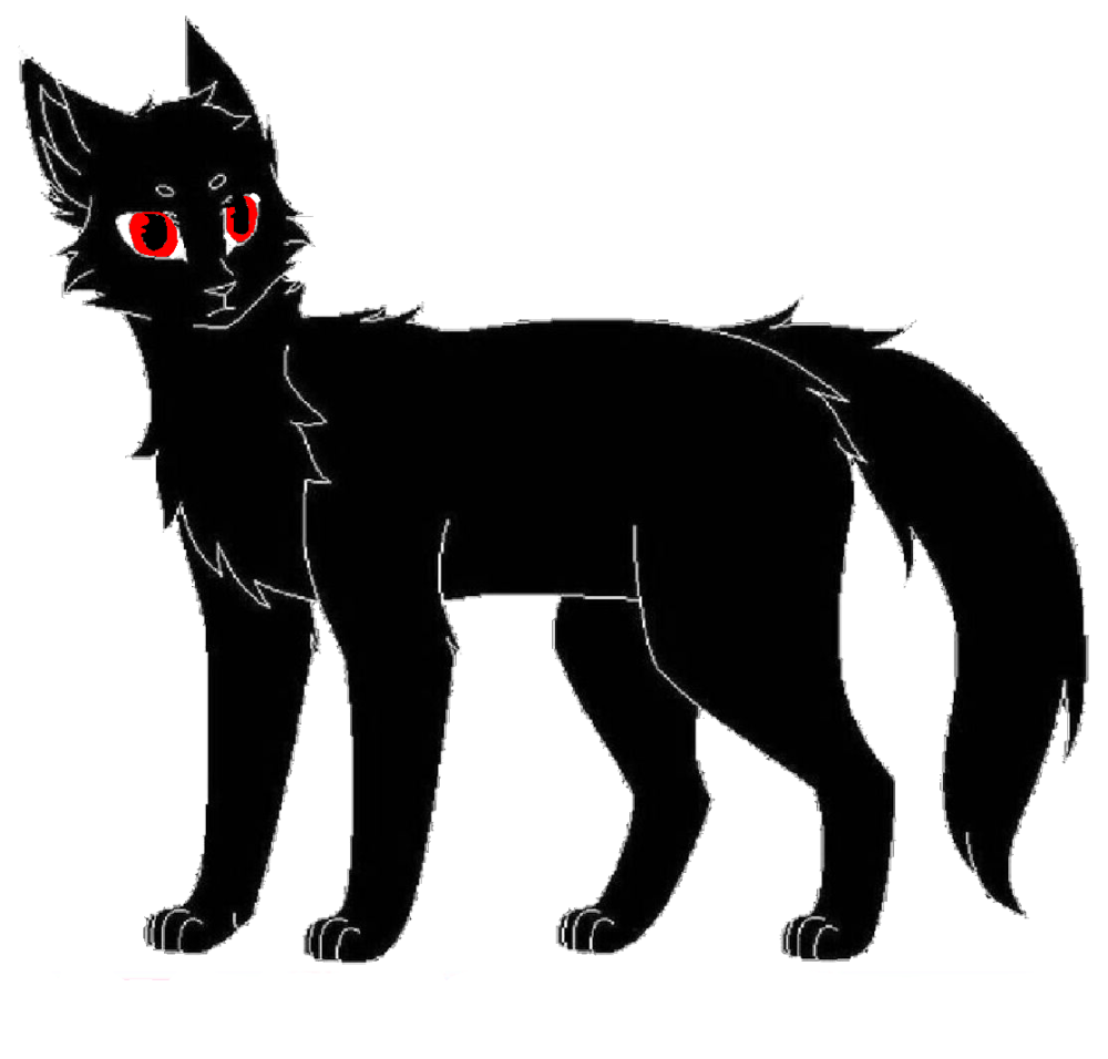 Кошка с фиолетовыми глазами