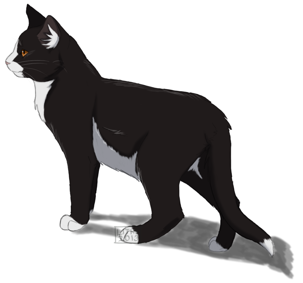 Tallstar коты Воители