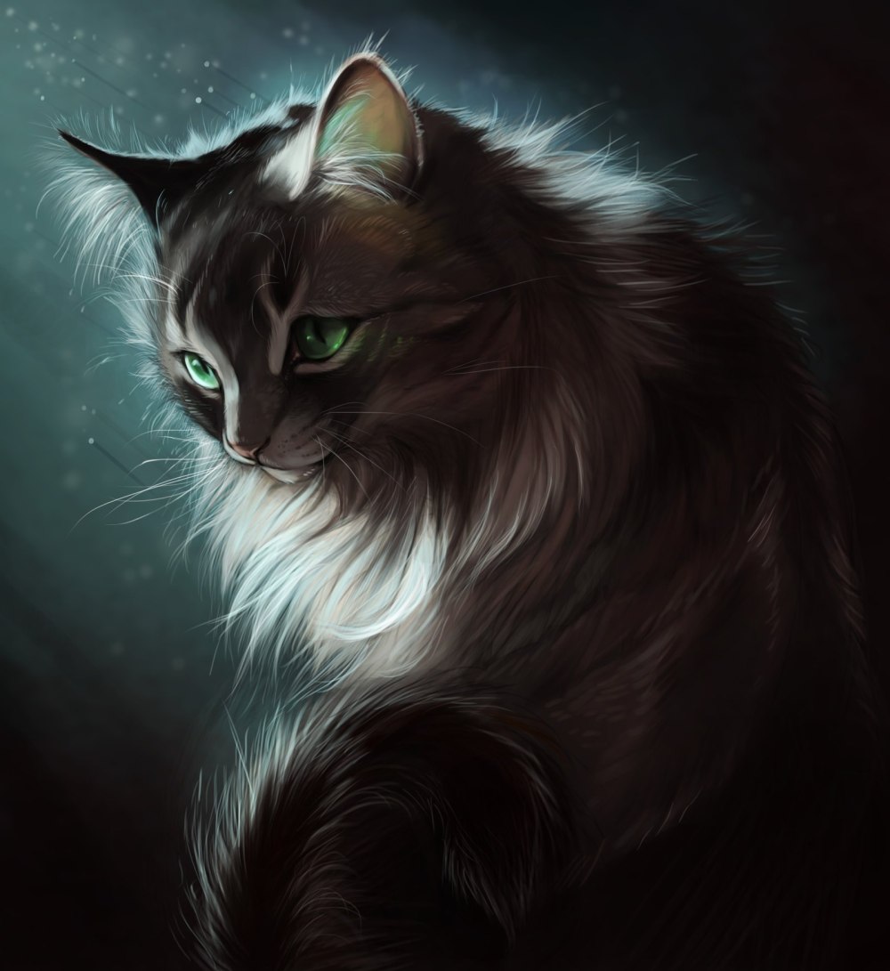 Коты Воители чёрная звезда