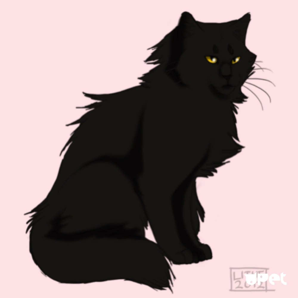 Космач коты Воители