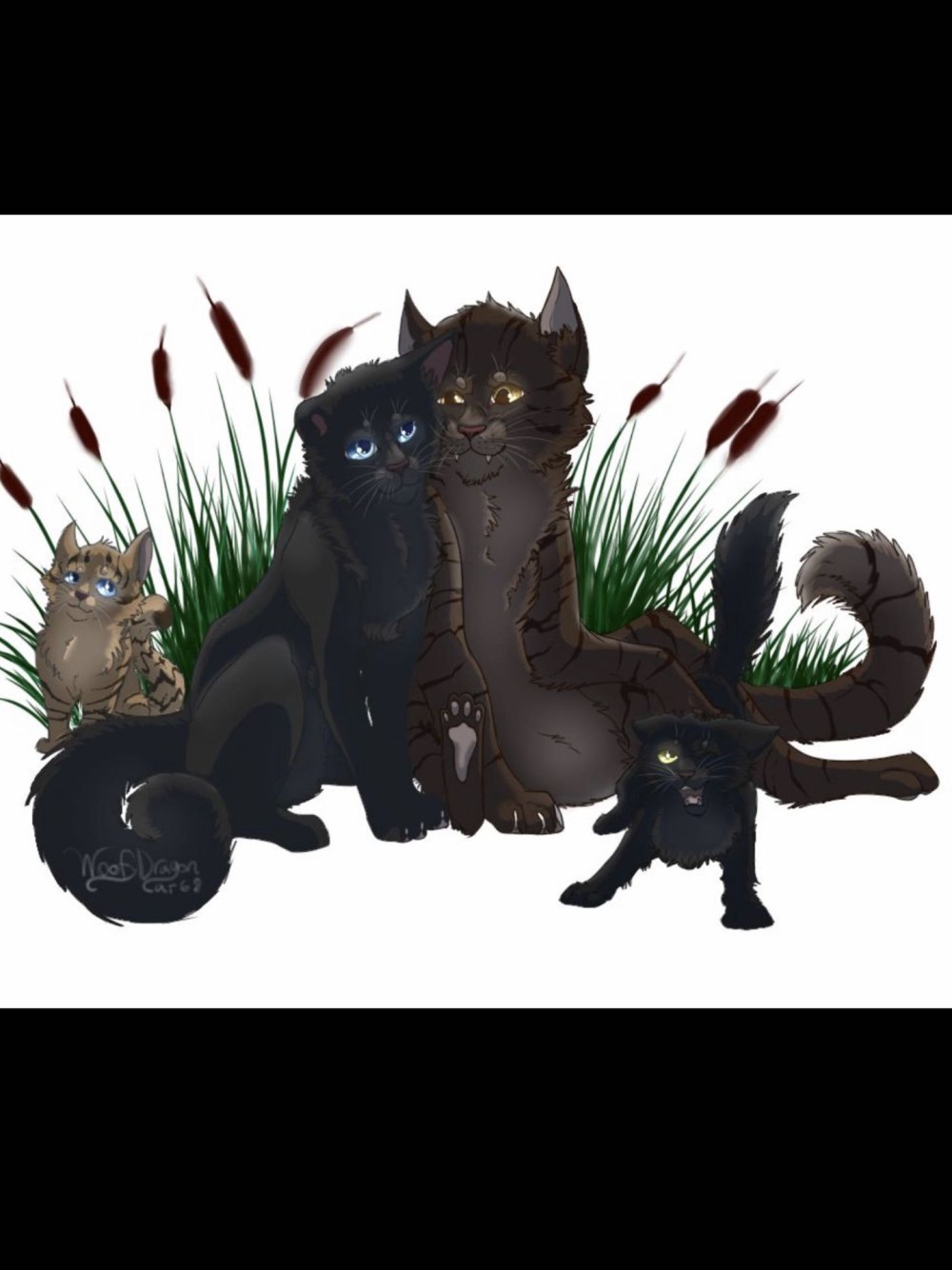 Коты Воители чёрный кот