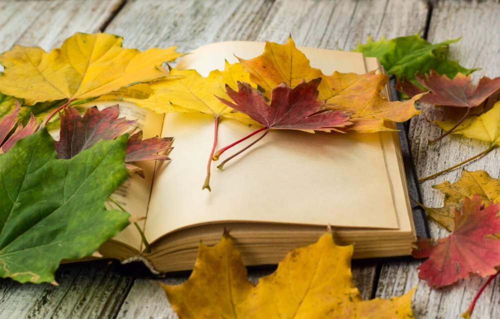 Книги про осень