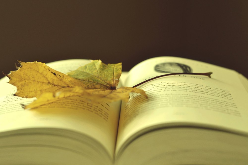 Книги про осень