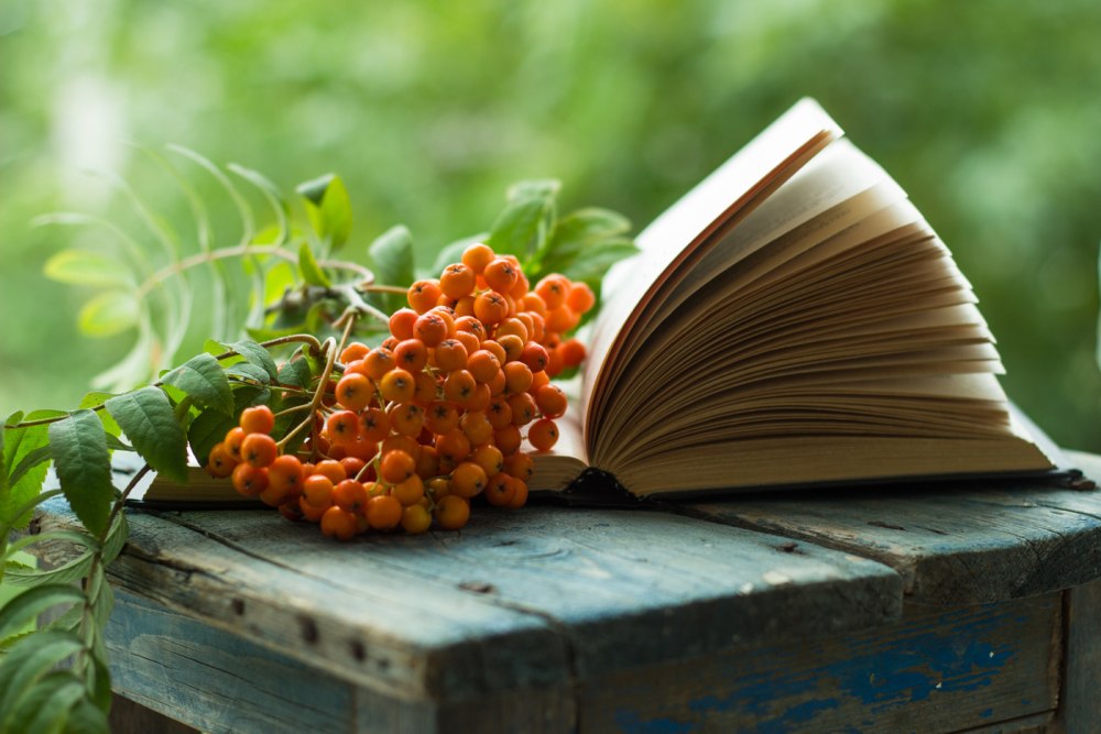 Книжная осень