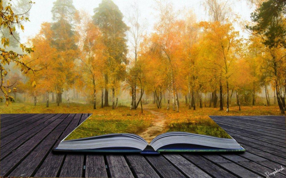 Книги про осень