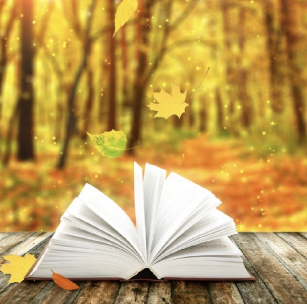 Книжная осень