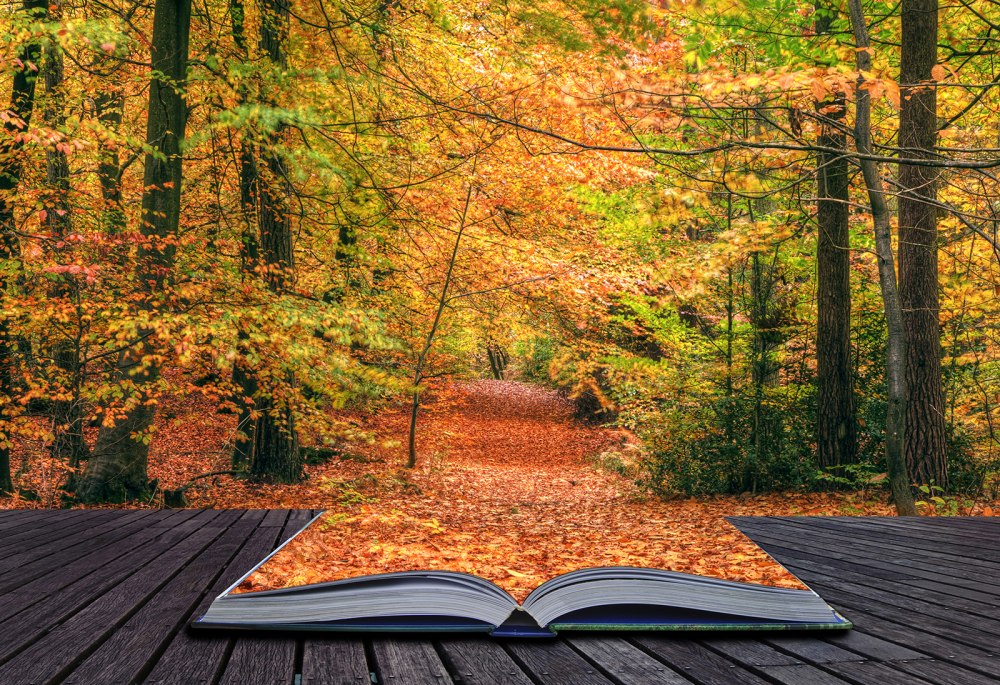 Листы для книжки