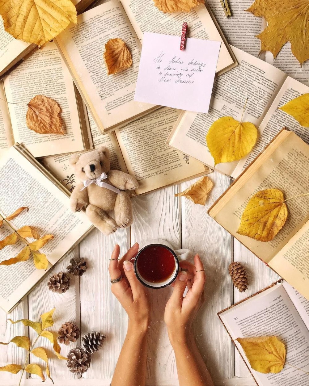 Книжная осень
