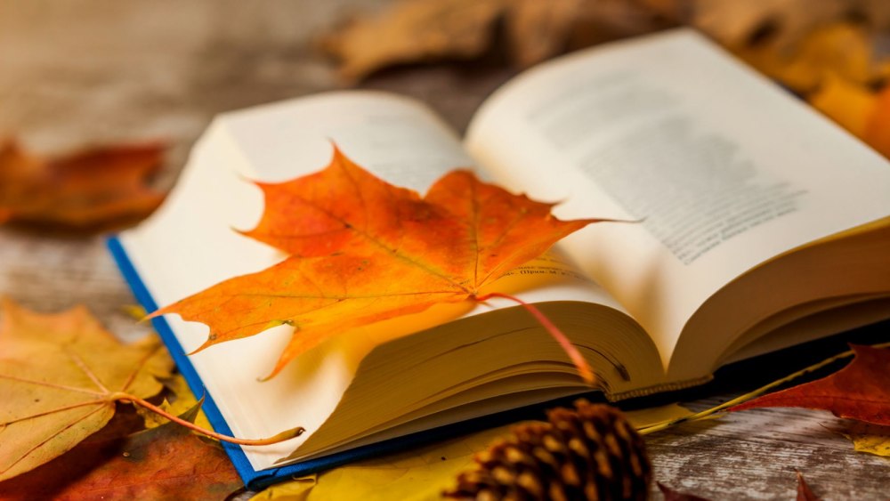 Красивый фон с книгами