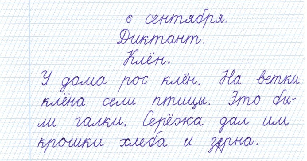 Тетрадный лист в узкую линейку а4