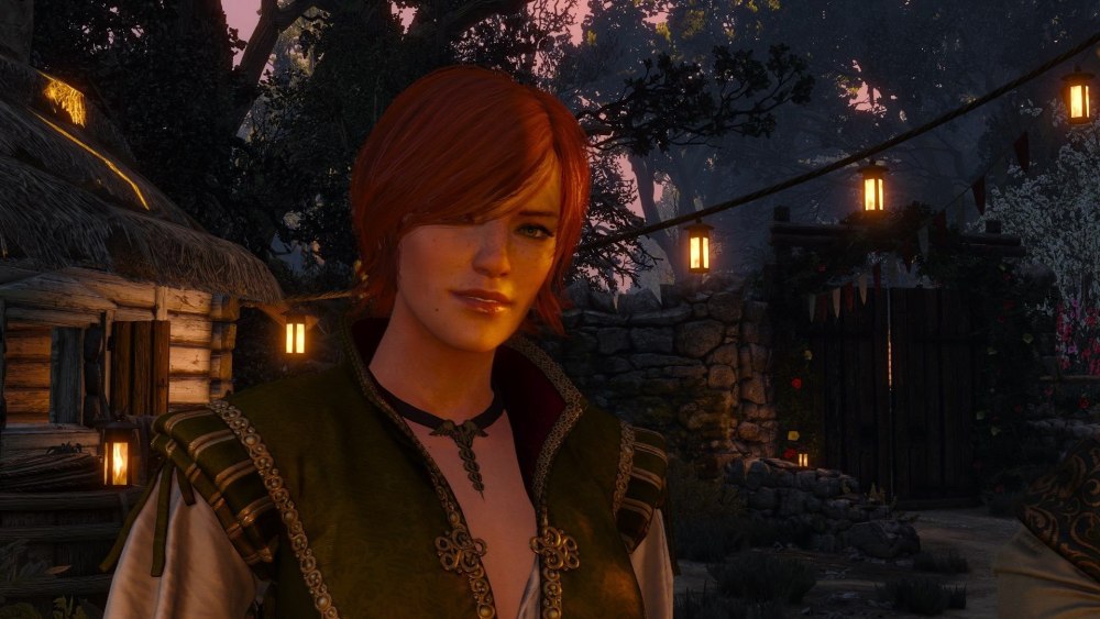 The Witcher 1 Шани
