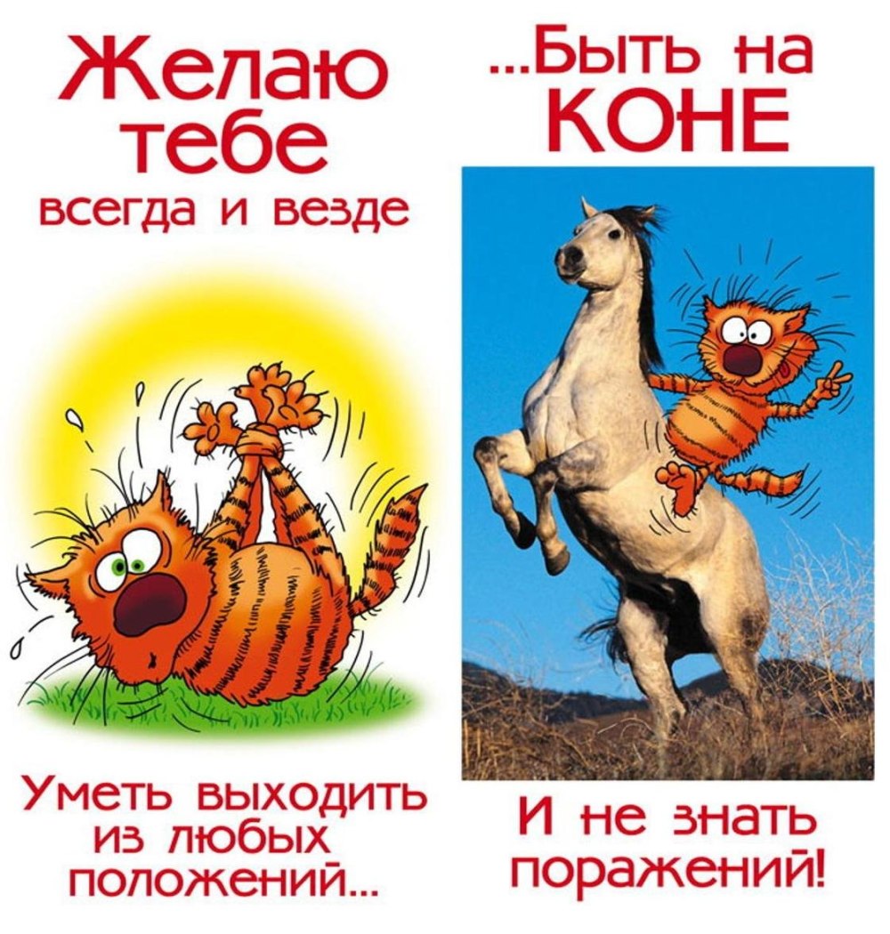 С днём рождения Александр