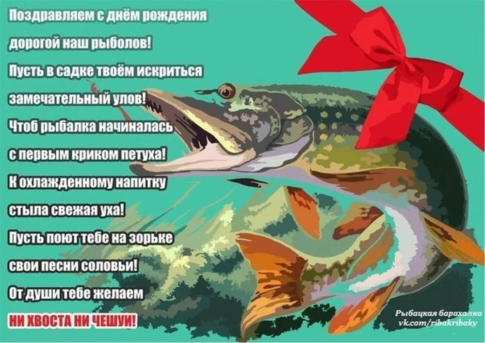Поздравления с днём рождения Алена прикольные