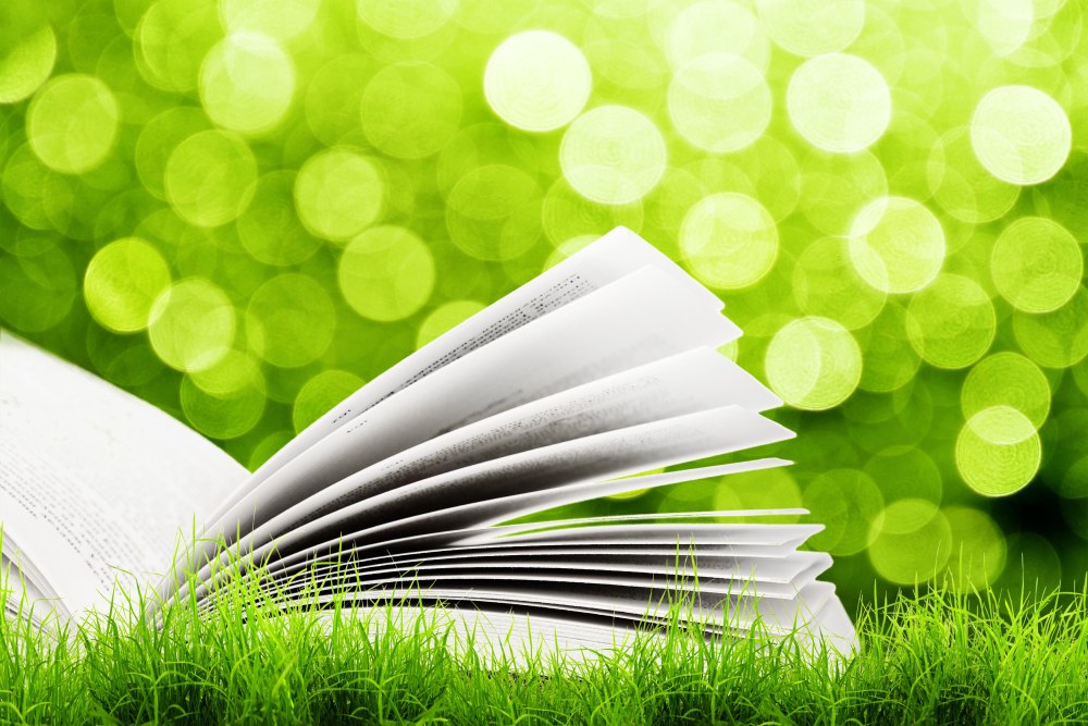 Книжка без фона