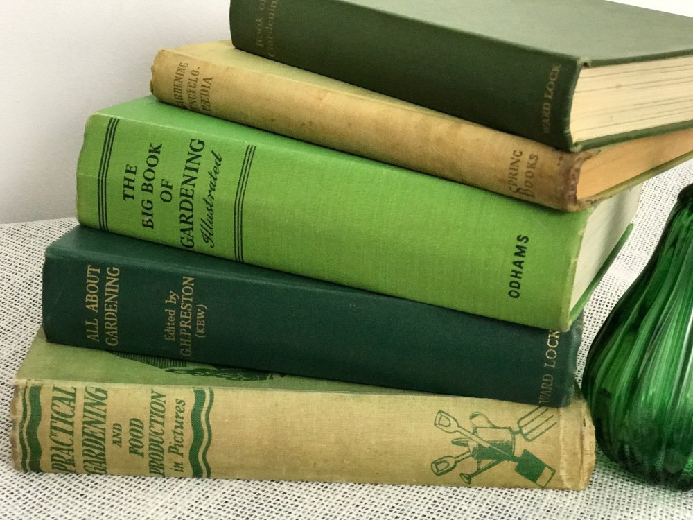Книжка зеленый