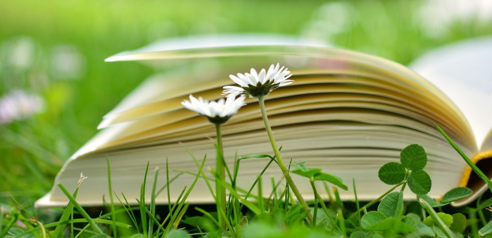 Стопка книг