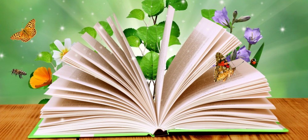 Фон для презентации книги