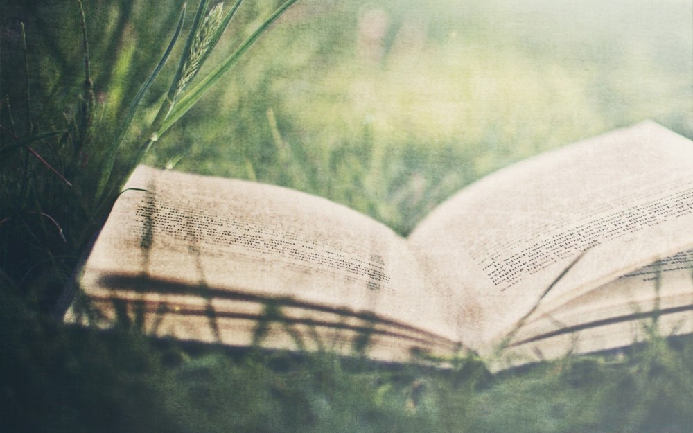 Раскрытая книга