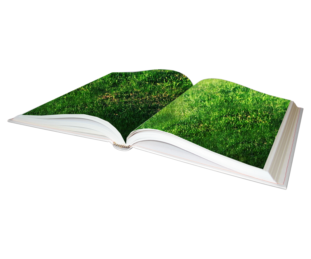 Книги на зеленом фоне