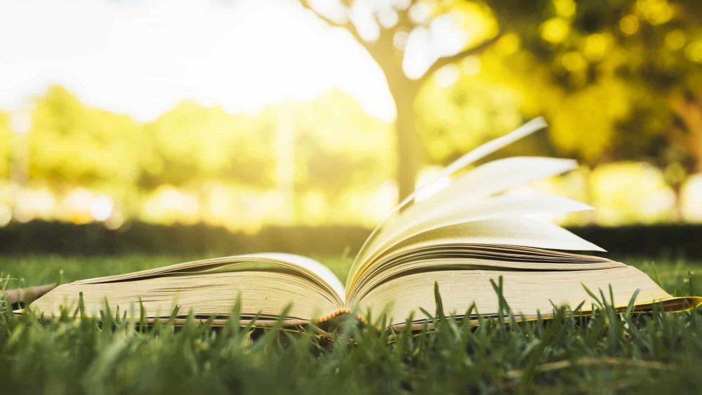 Раскрытые книги