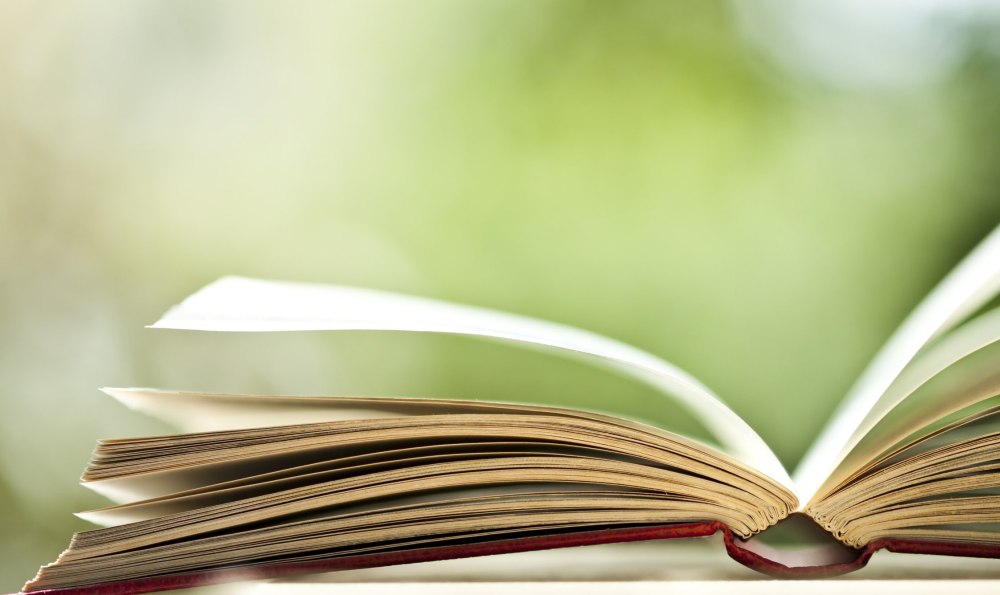 Книги на Светлом фоне