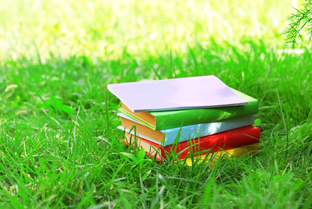 Лето книга фон